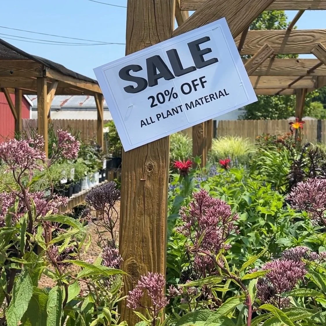 Great news&mdash; our sales continue! 

Stop by for 20% off all plant material 🪴