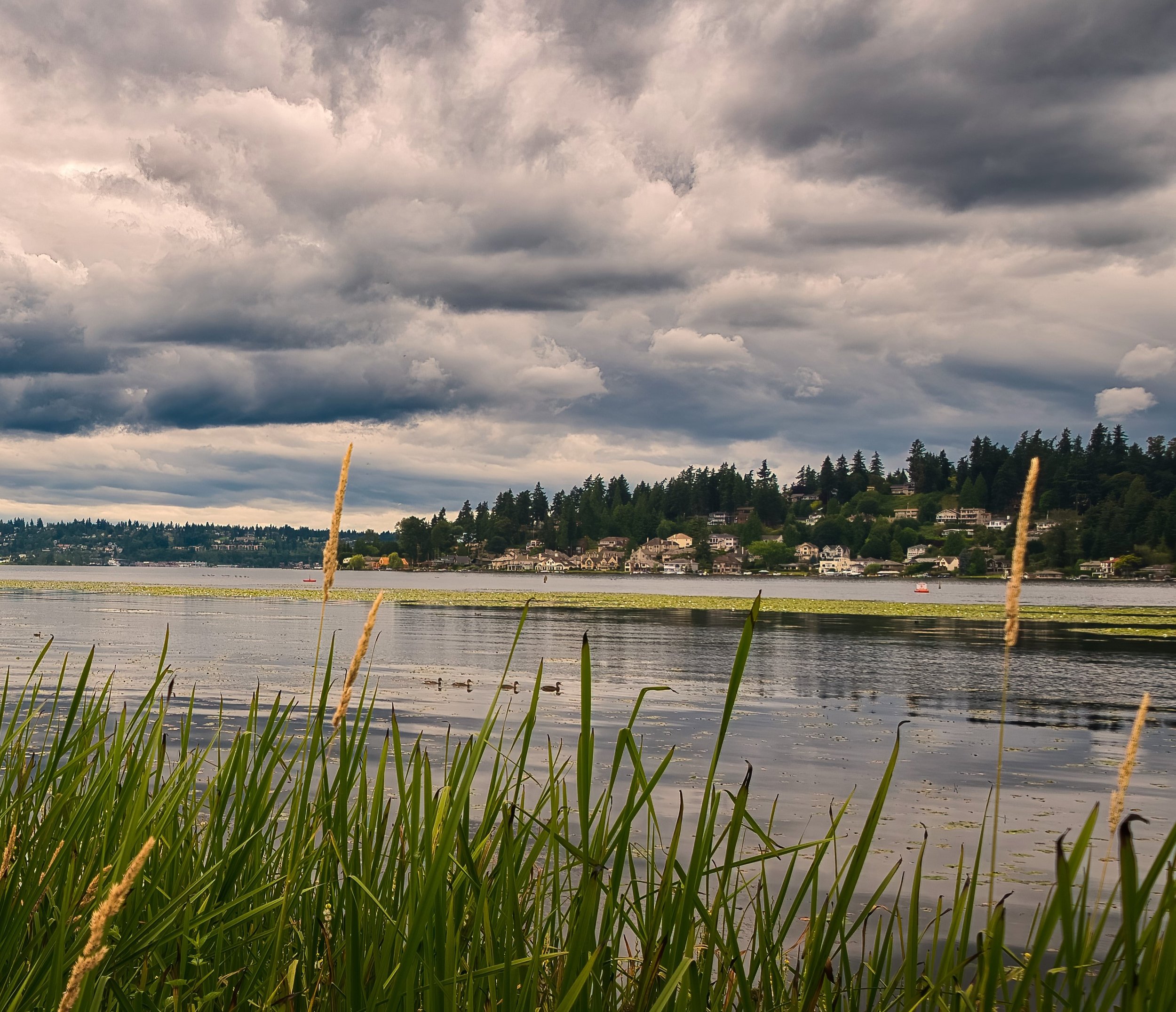 Top 5 Neighborhoods for Growing Families in the Seattle Metro Area
