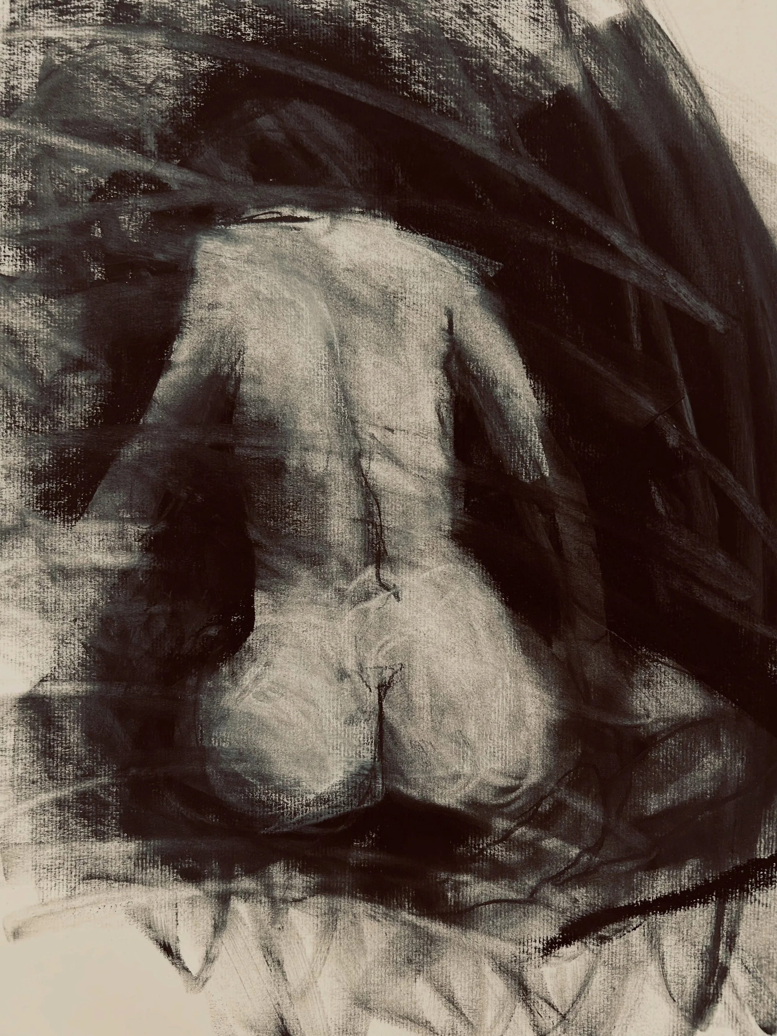 Great to be BAMFing again with my friends:) thanks to the incredibly inspiring @_catarina_moita @camposmartin030 posted with a few stragglers from earlier session  @bluede_model2 
#quickgestures #fastandloose #charcoalconte #powderedgraphite#washingt