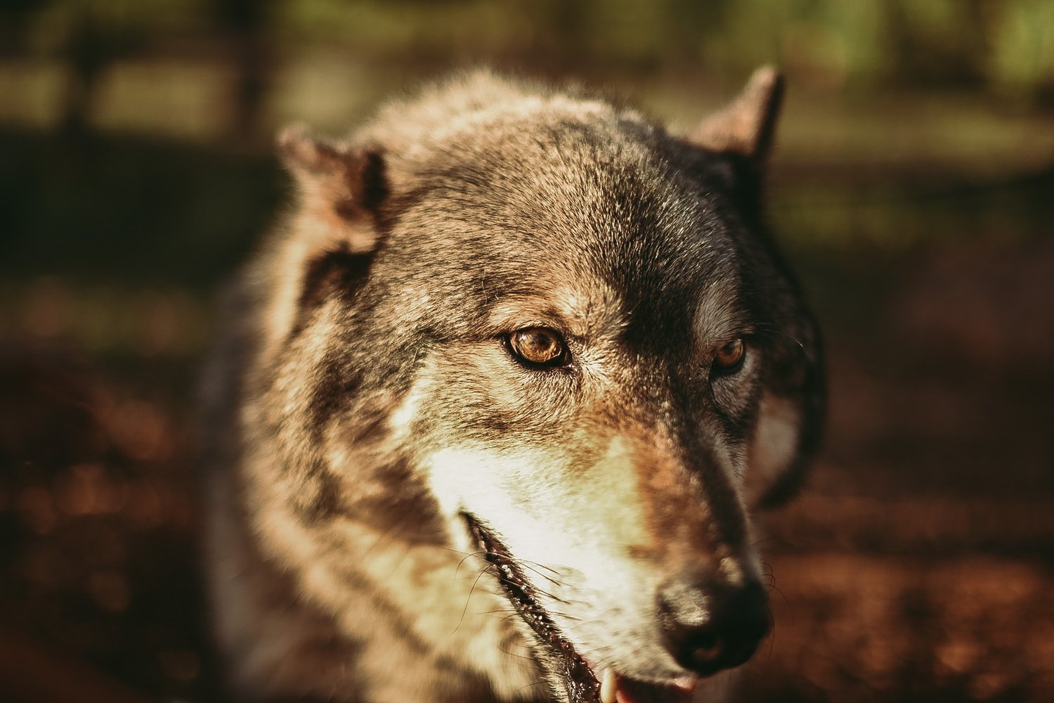 27B7B1BC-7DD9-4AEA-9D7B-367420878D32.jpeg