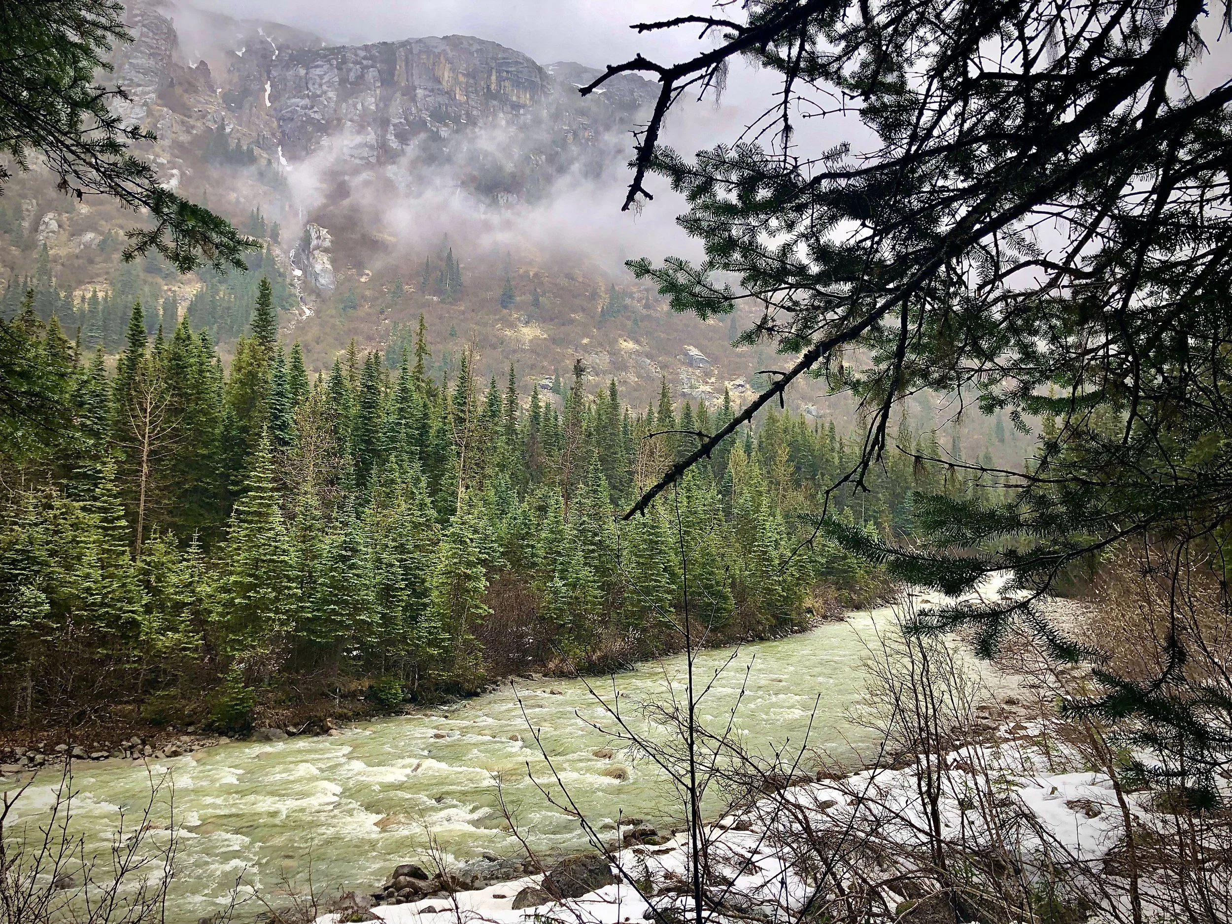 Alaska Wilderness - Skagway