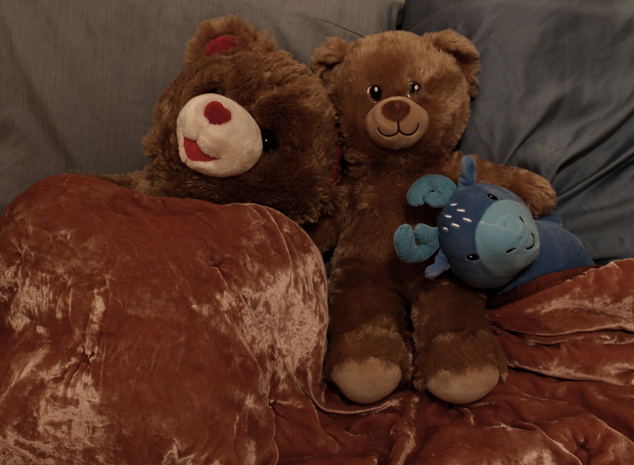 bear in bed copy.jpg