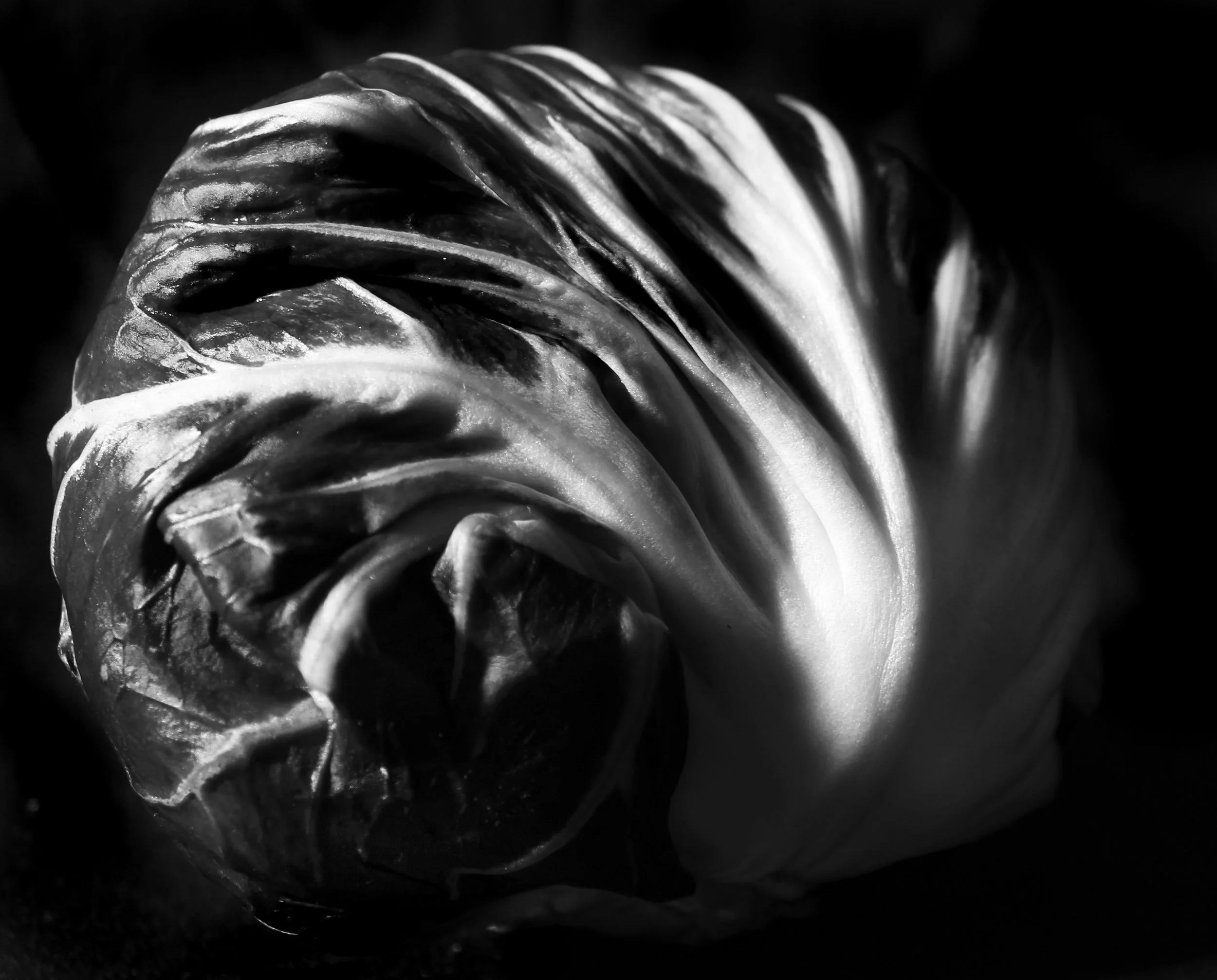 brain radish copy.jpg