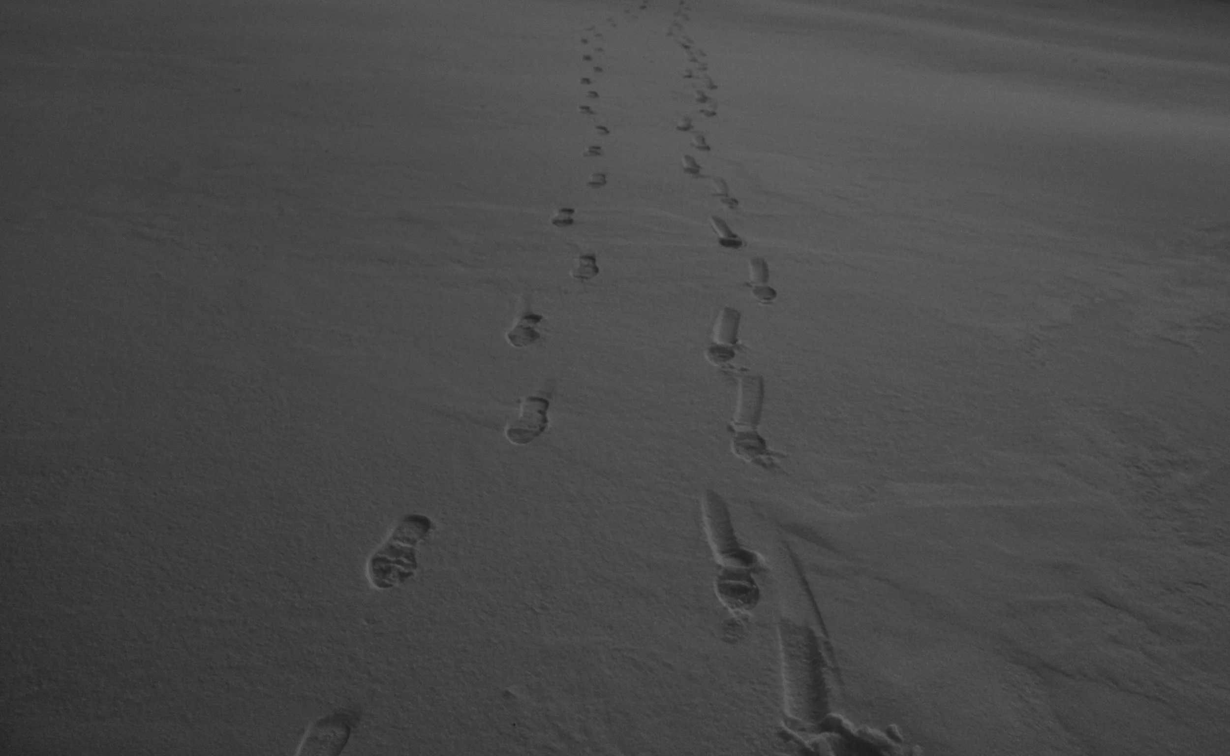 Larg depth of field final edited.jpg