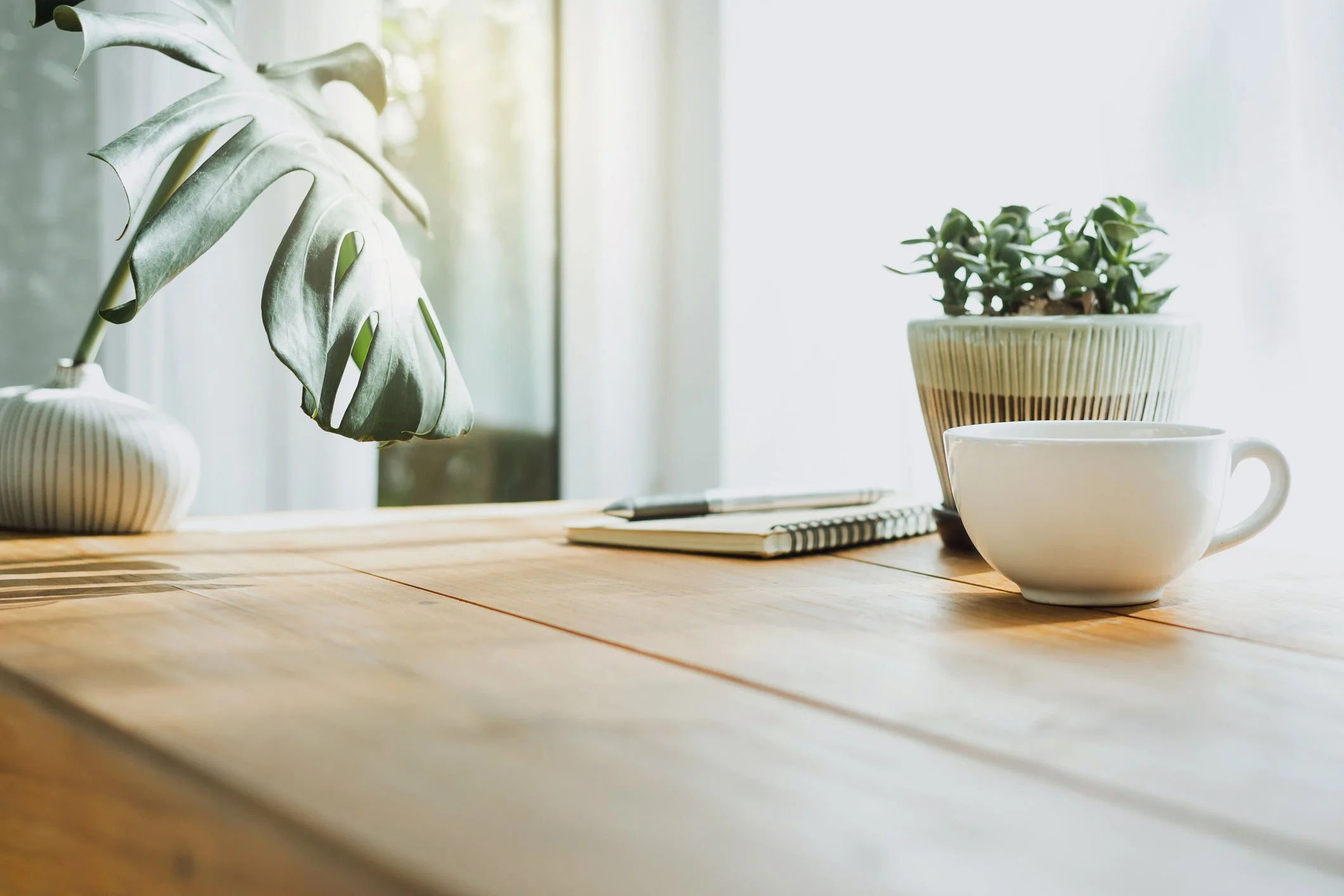 A wooden desk with a white coffee mug, a potted plant, an open notebook, and a pen, illuminated by natural sunlight through a window.