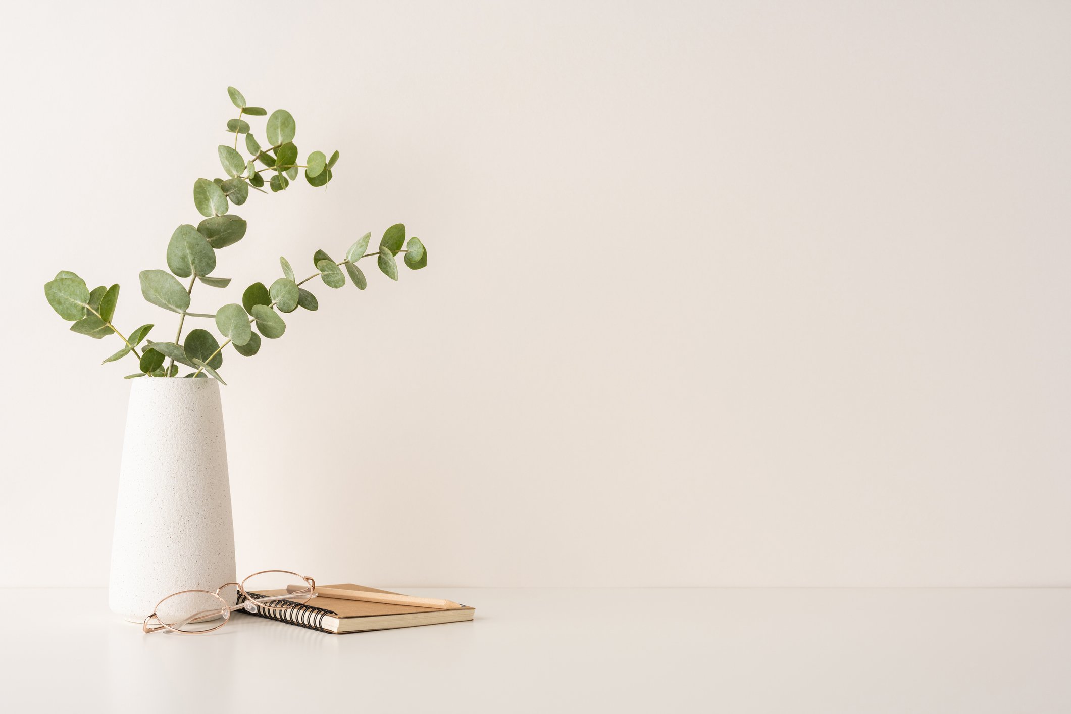 Minimalistic photo of a green plant in a white vase with eyeglasses, a notebook, and a pencil.