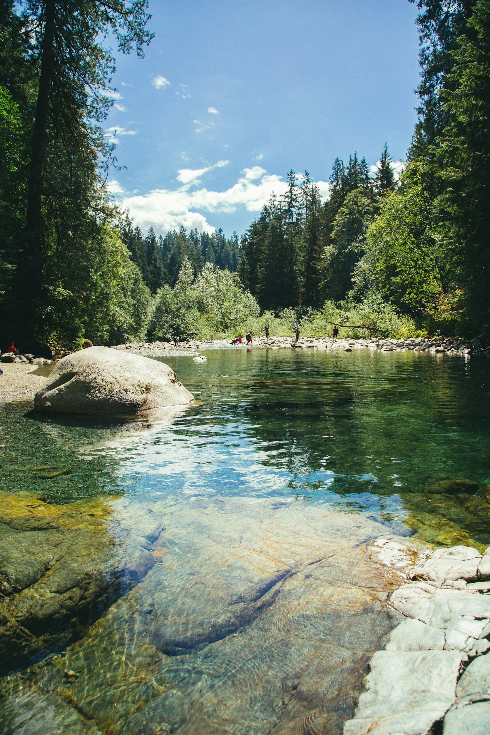 A serene river flowing through a lush green forest with tall trees on both sides under a partly cloudy blue sky, and a few people seen on the riverbank.