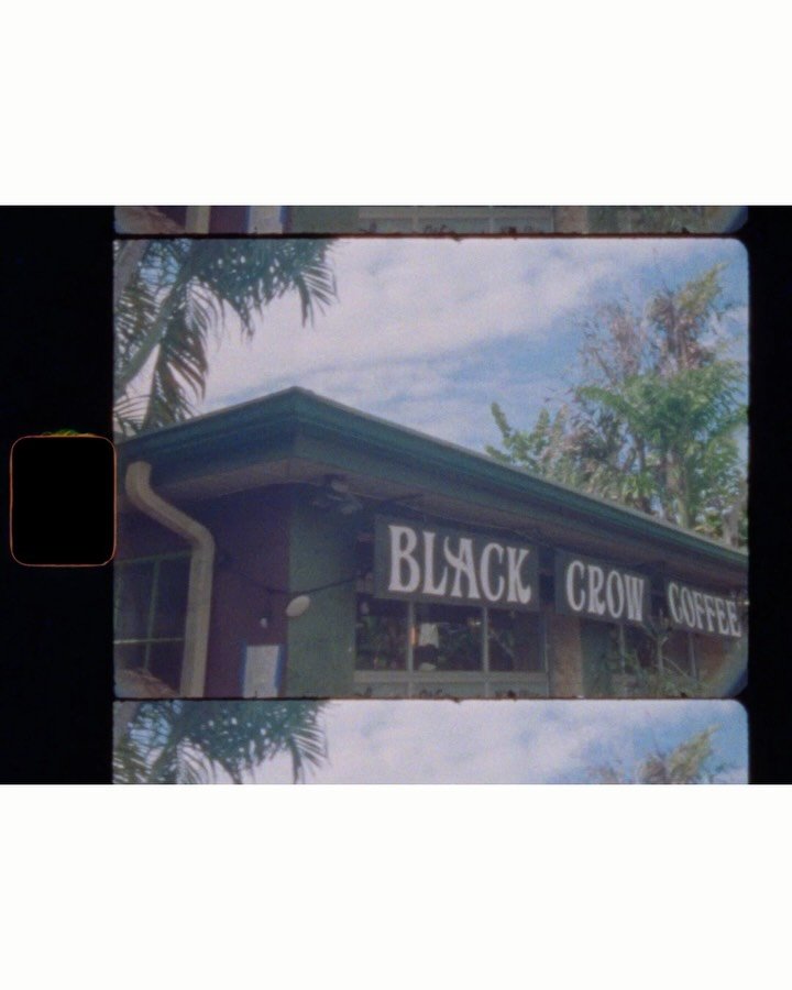 Welcome to Day Three of eight days of Super 8 🎄🎞️ Just like Kodak&rsquo;s Eight Days of Super 8, today is about the in-between moments like coffee dates at local spots, behind the scenes at weddings, and yes&hellip; one of my cats making a cameo. F