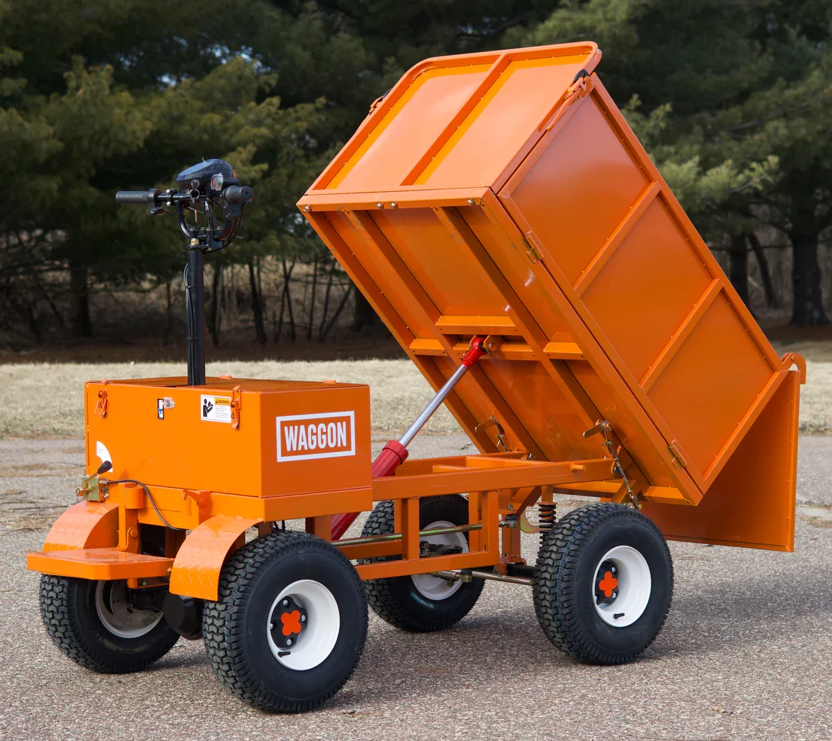 waggon dumpt.webp