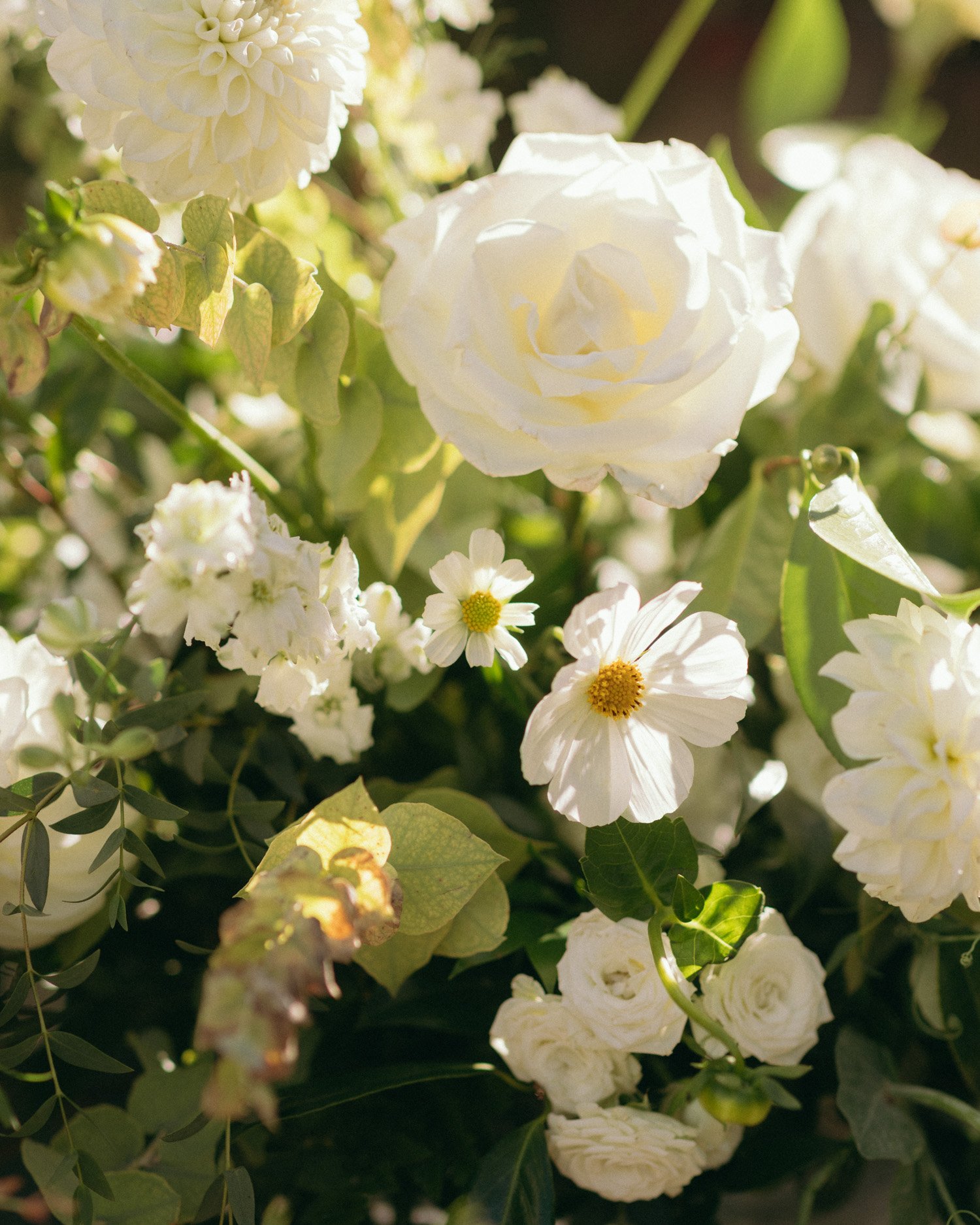 white dahlias roses flowers wedding design