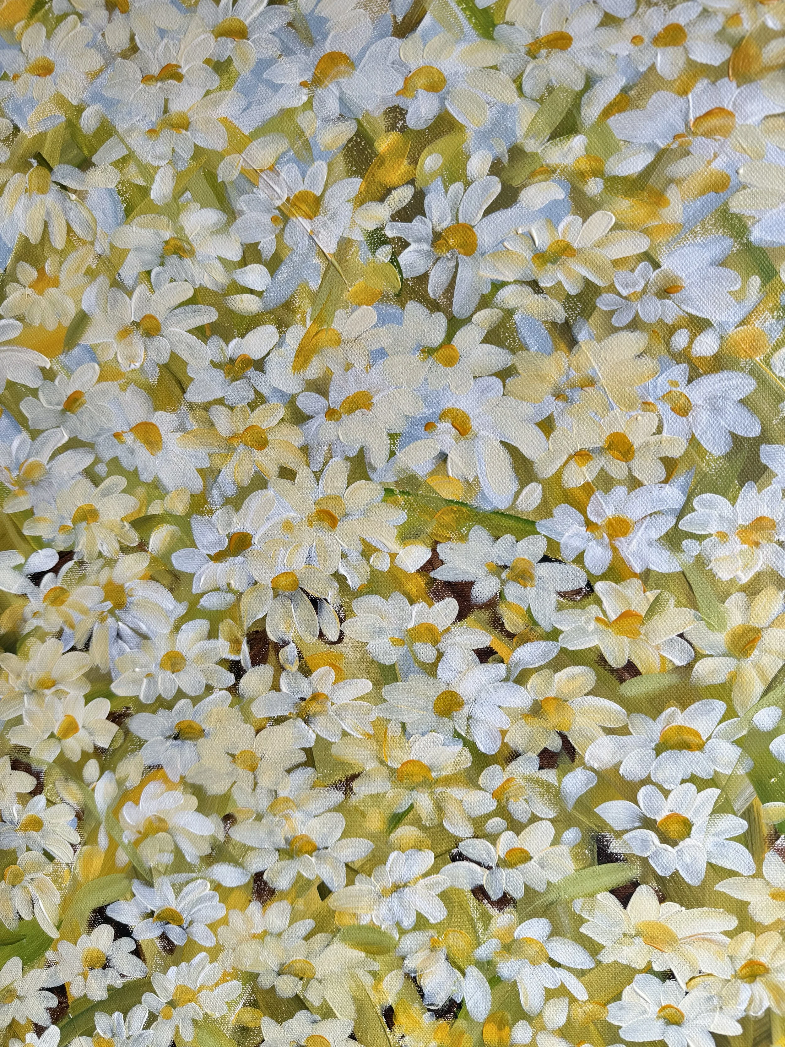 hundredsomethingdaisies.jpg