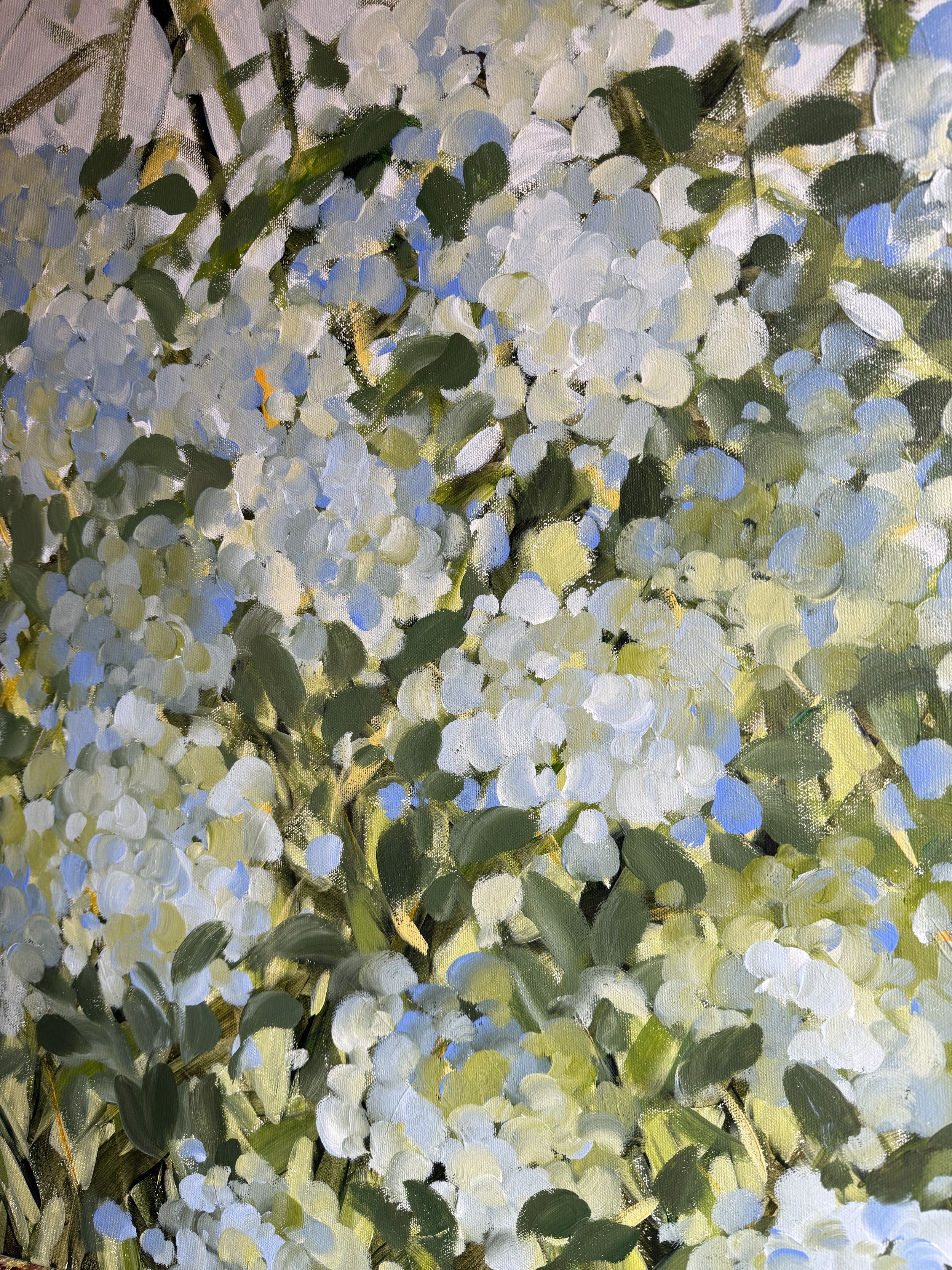 HydrangeasAtHome.jpg