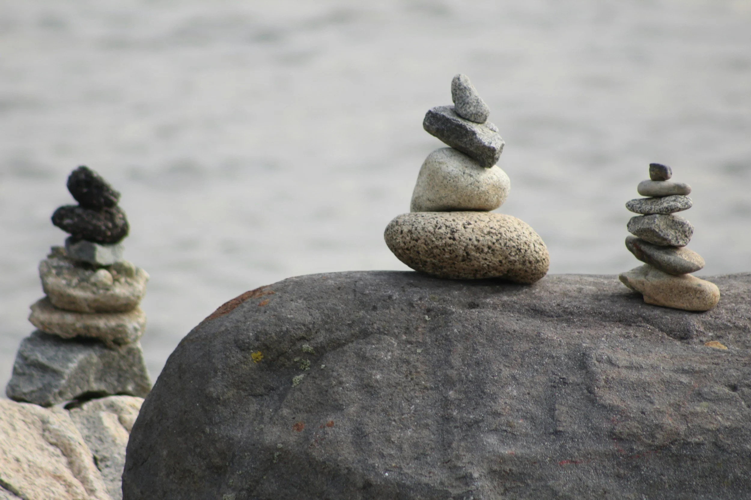 Management Systems— What’s Shifting, What’s Rock Solid?
