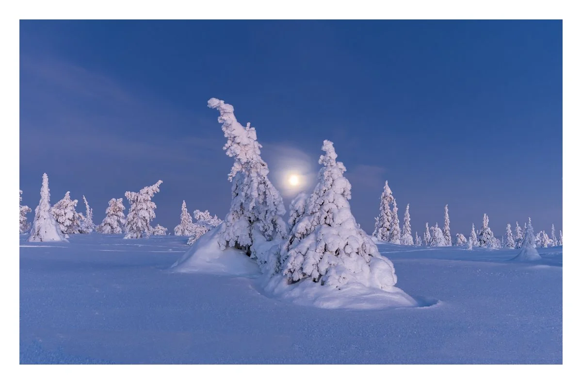 Finland Ruka kuusamo Canon R6m2 national park.jpg