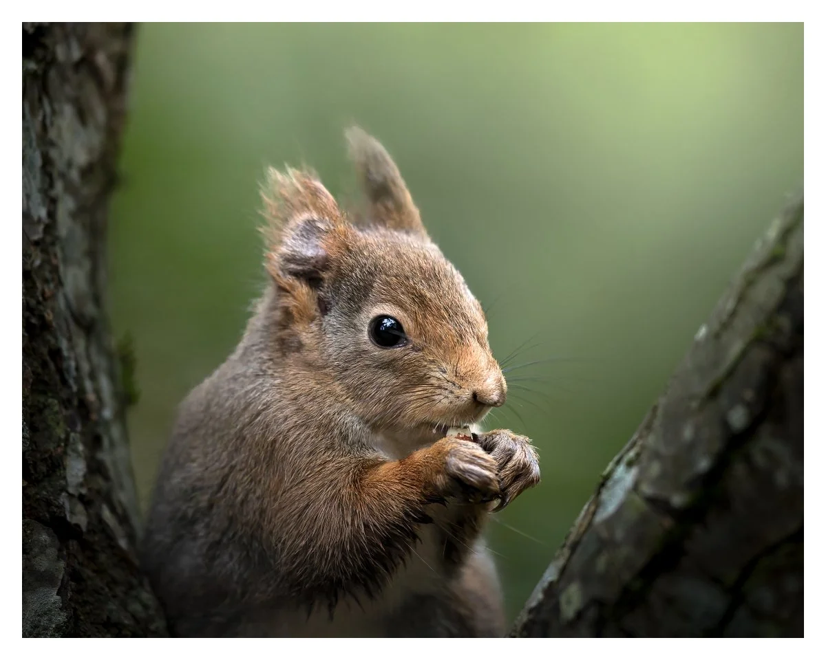 LR--2 copy_Facebook_1200x960_U_140.jpg