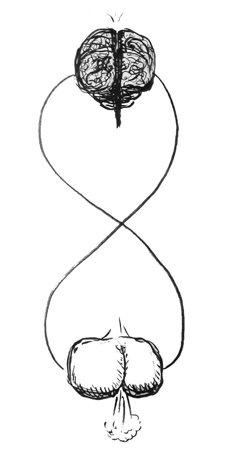 Bell_Ally_Human Anatomy.jpg