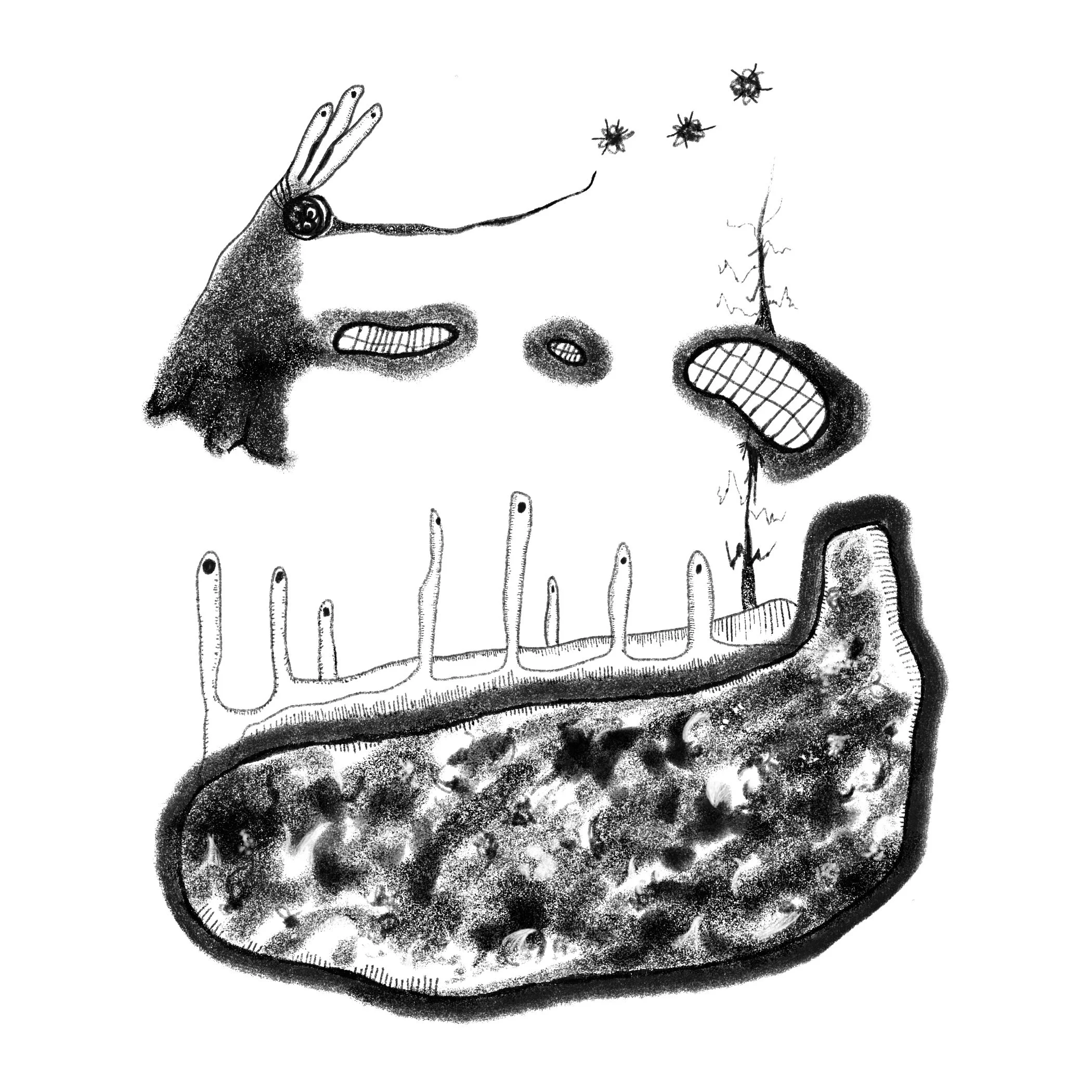 Creation of the Universe.JPG