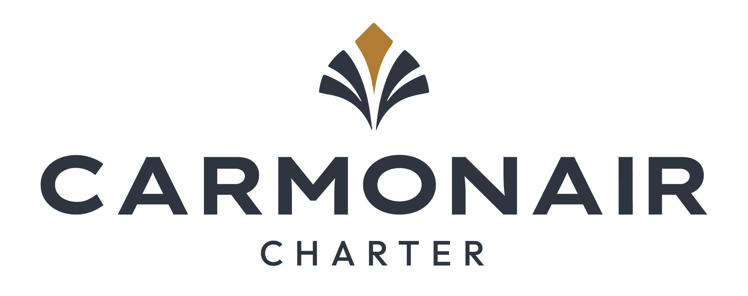 Carmonair Logo & Uses-03.png