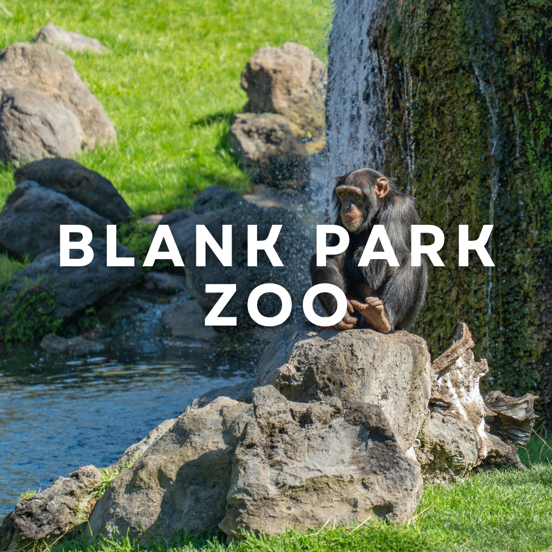 Blank Park Zoo