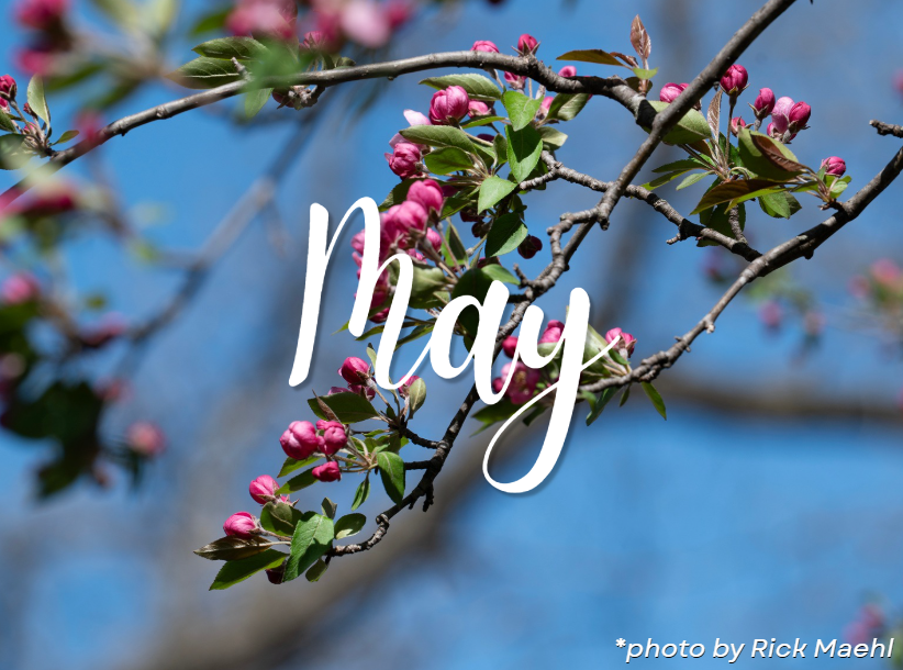 News &amp; Dos - May 2026