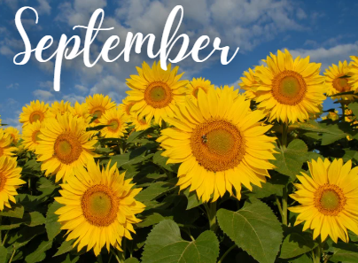 News &amp; Dos - September 2026