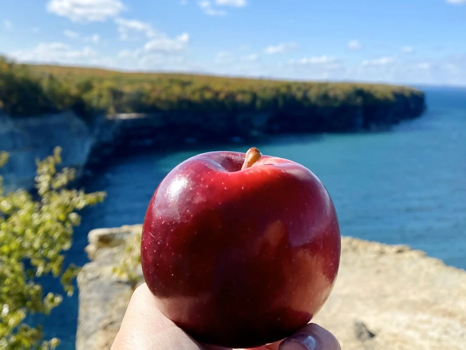 Our Apples — Joe Rasch Orchards
