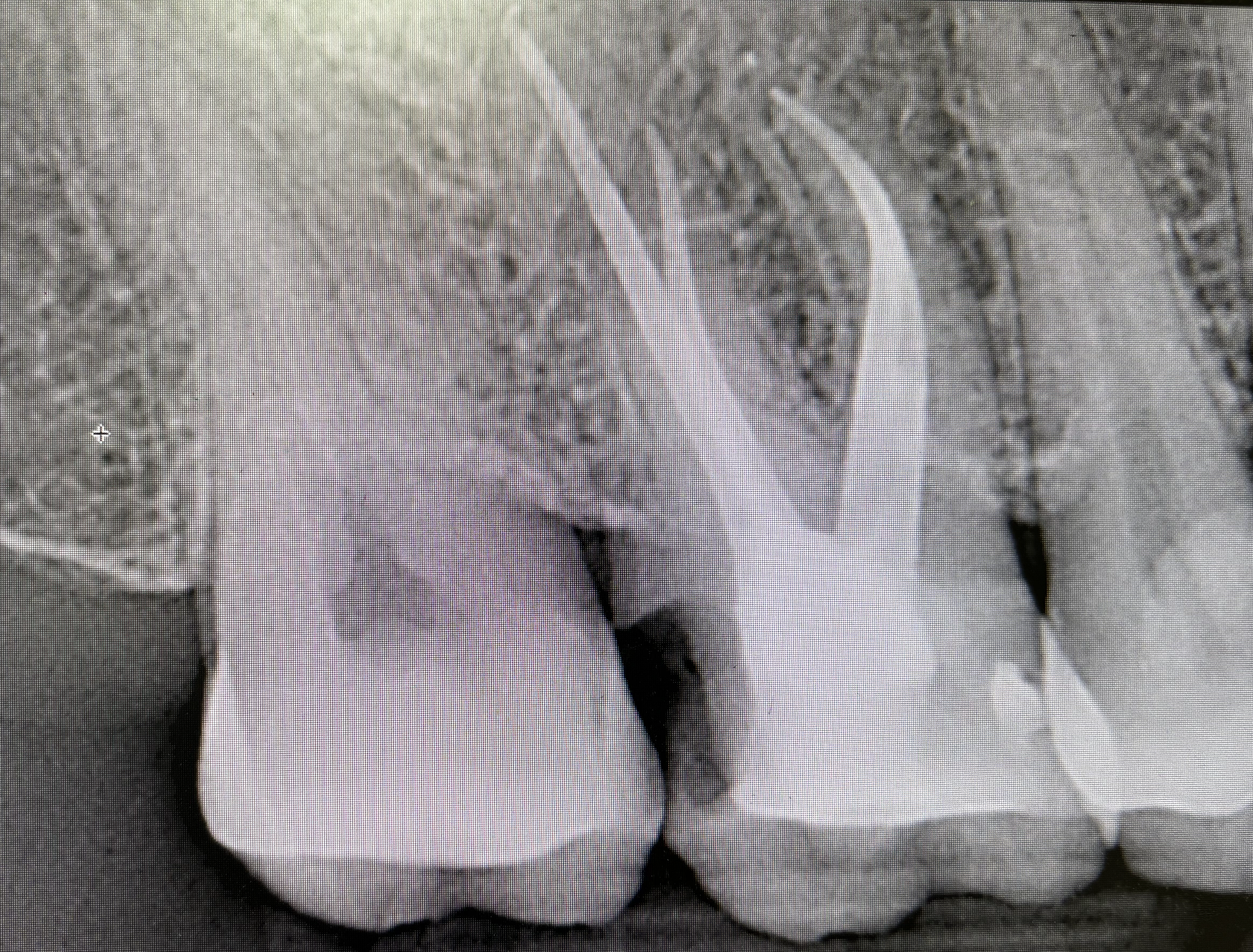 Screenshot 2024-03-09 at 9.16.51 PM.png