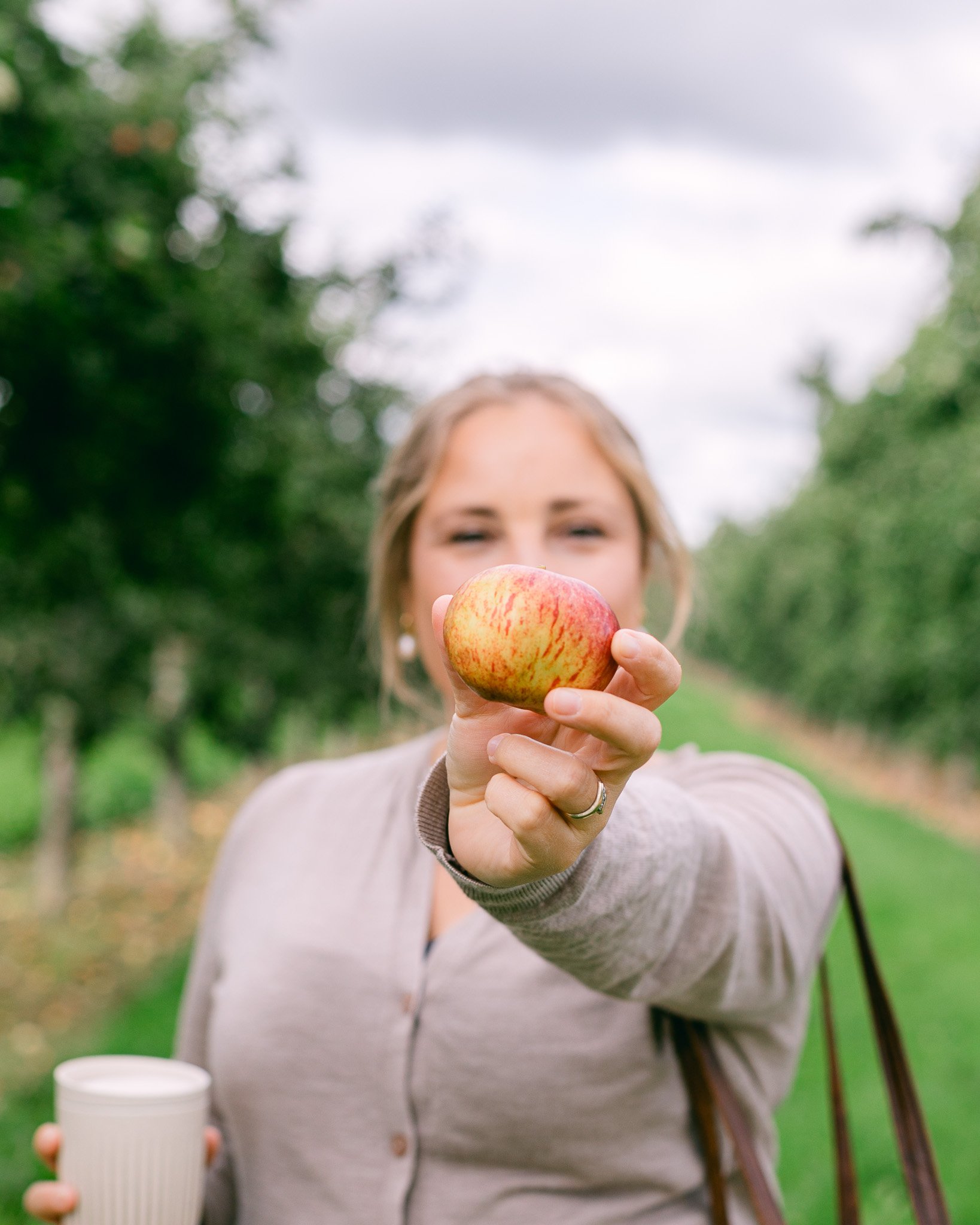 How to Create an Autumn Picnic</span>