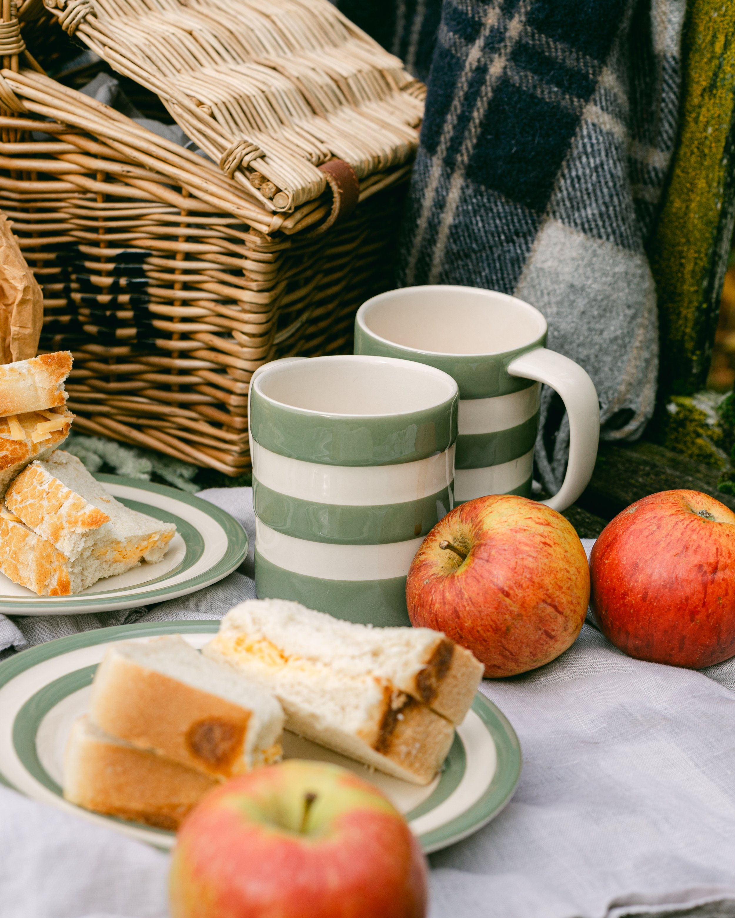 Autumn Picnic Traditions