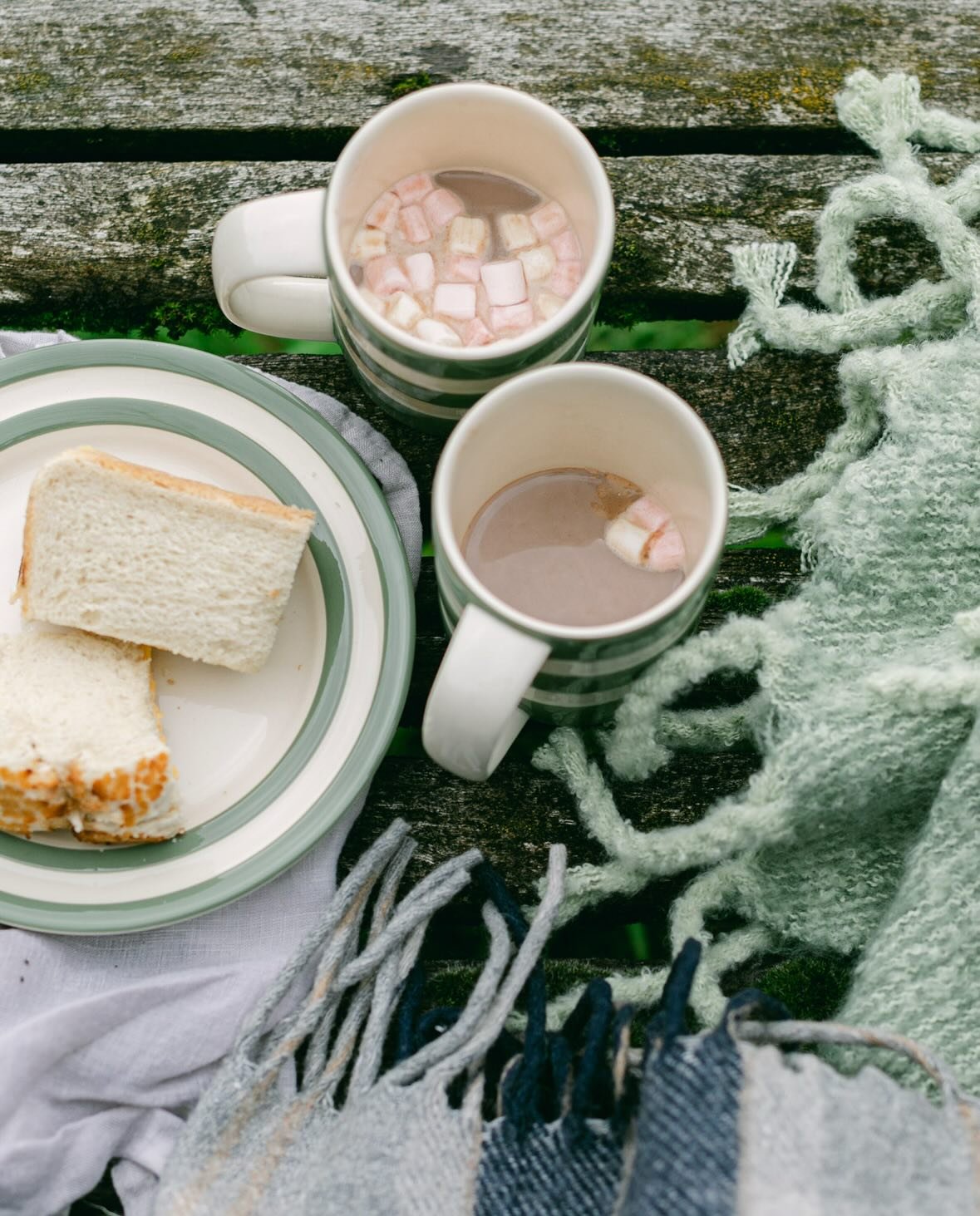Hot chocolate and cheese sandwiches in the garden, after we carried out all the blankets of course. 🥰🧺

@cornishware #cornishware #alfresco #autumnpicnic