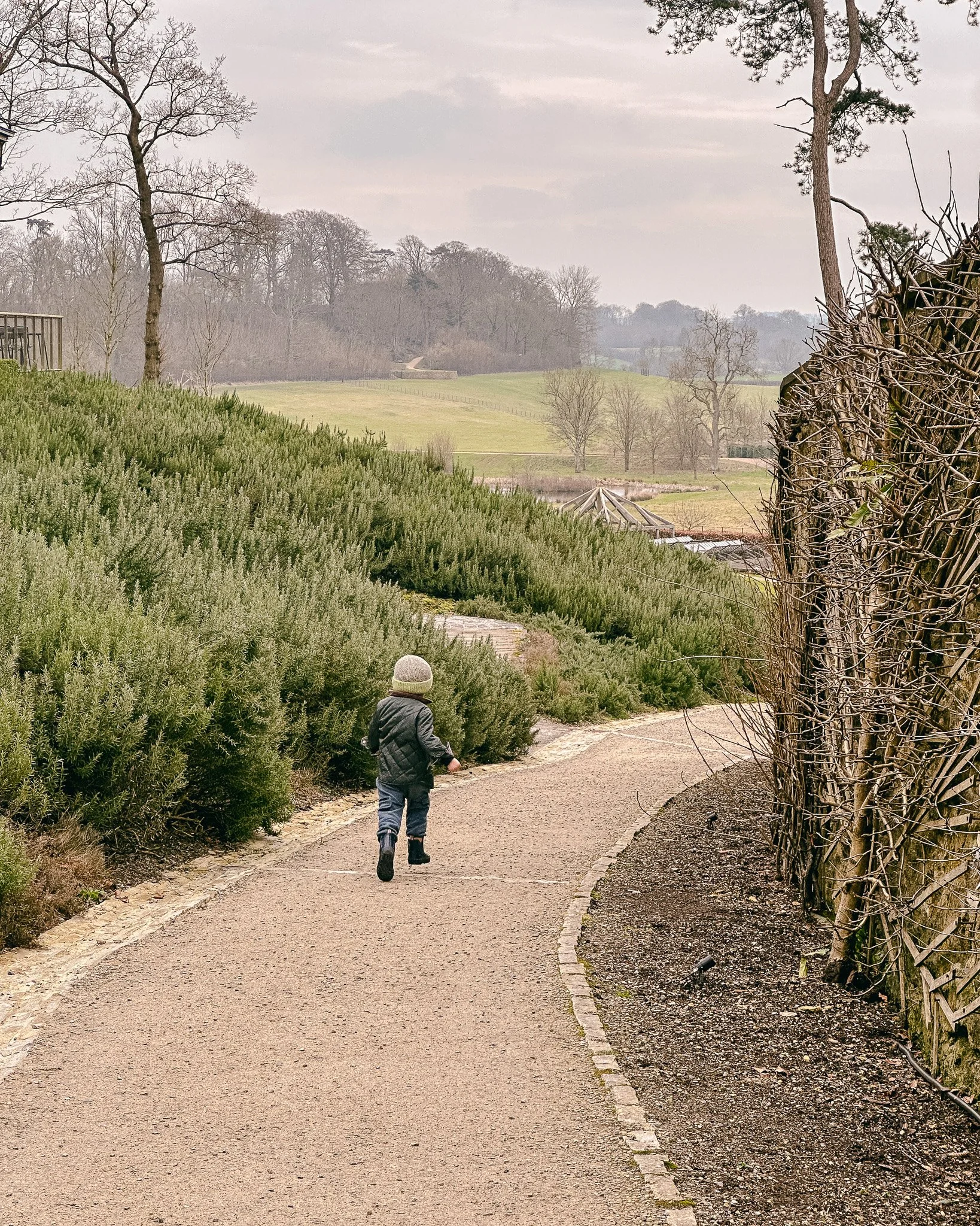 The Joyful Almanac February Gemma Duck