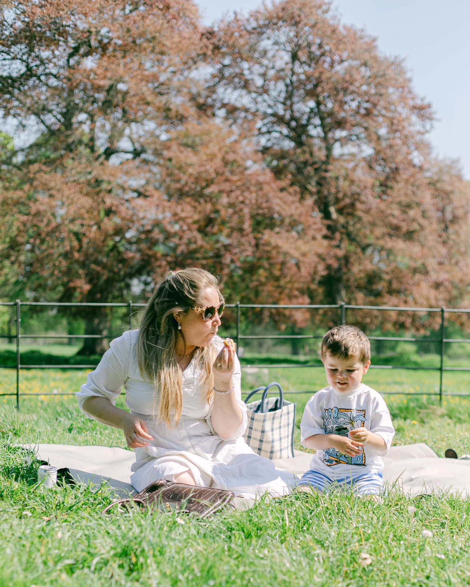 The Rules Nobody Told You About Picnics (But Absolutely Should Have)