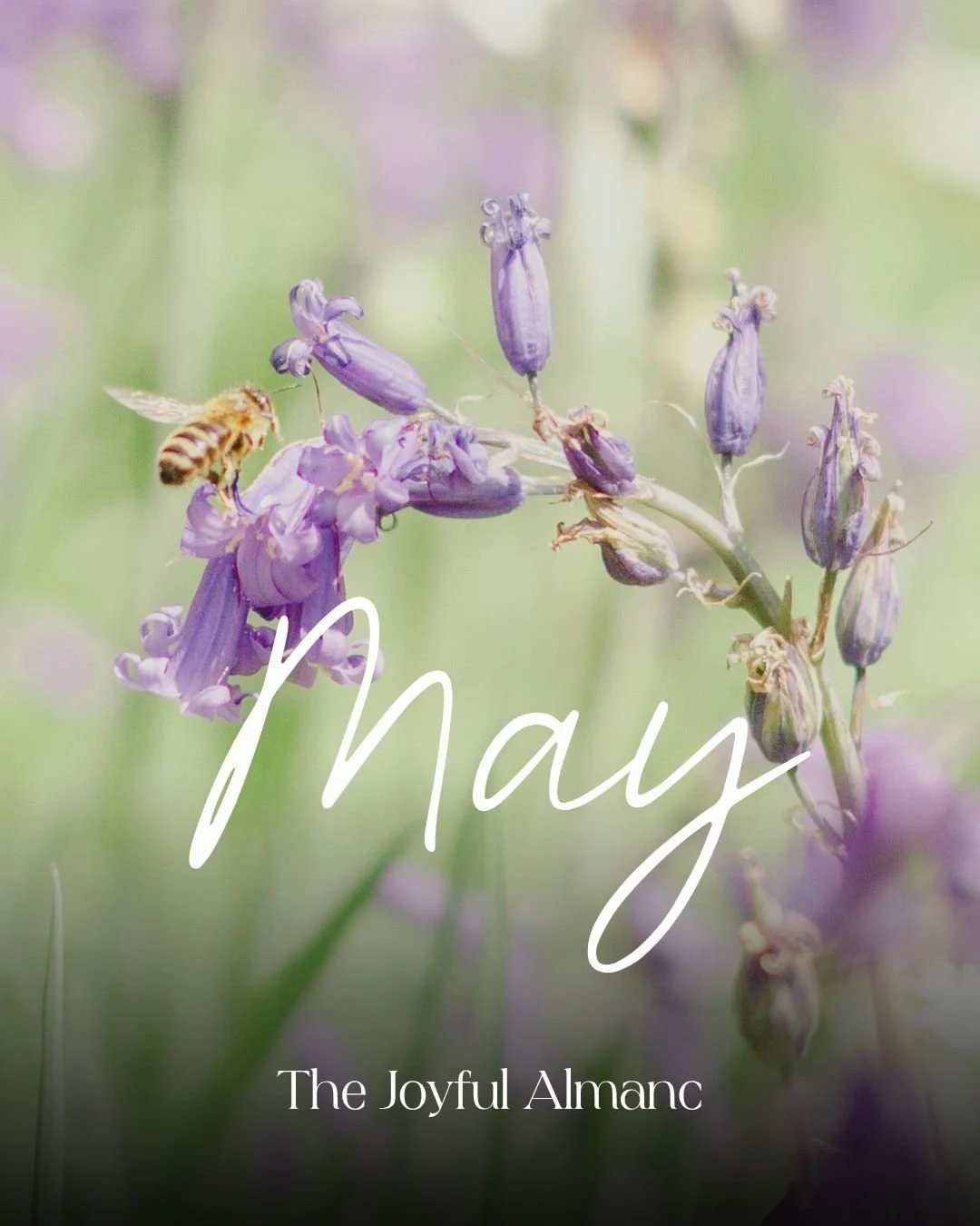 The Joyful Almanac - May