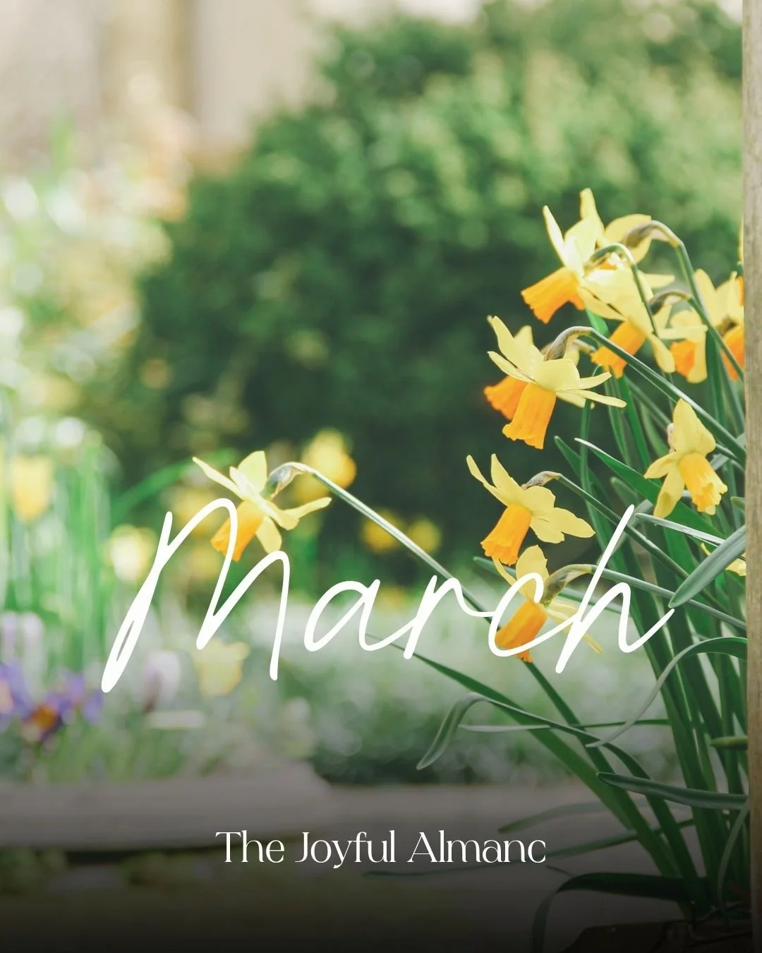 The Joyful Almanac - March