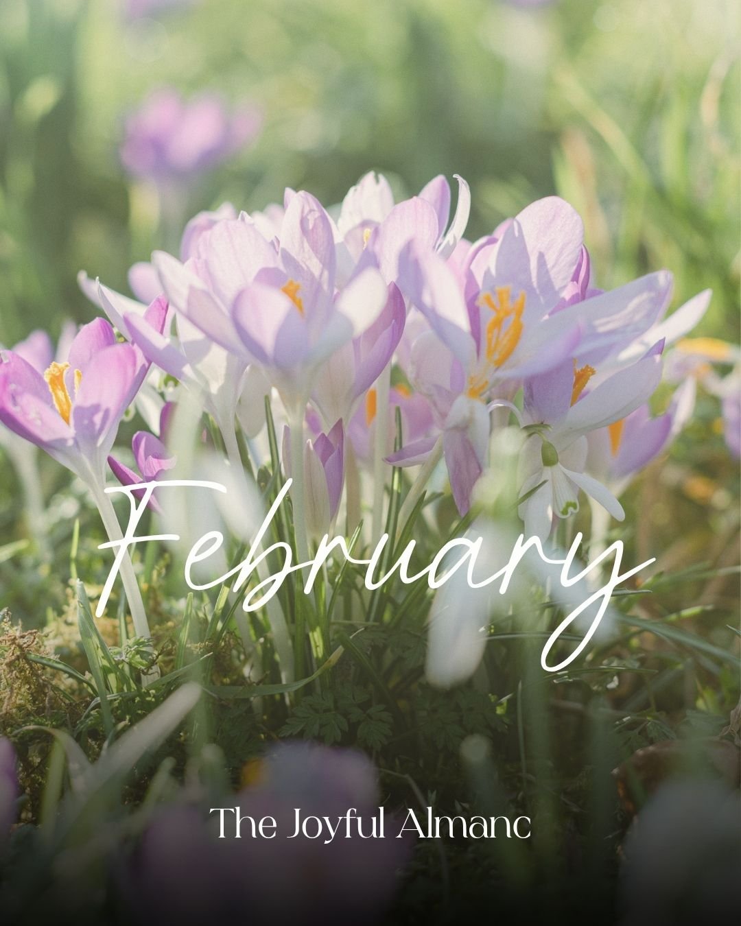 The Joyful Almanac - February