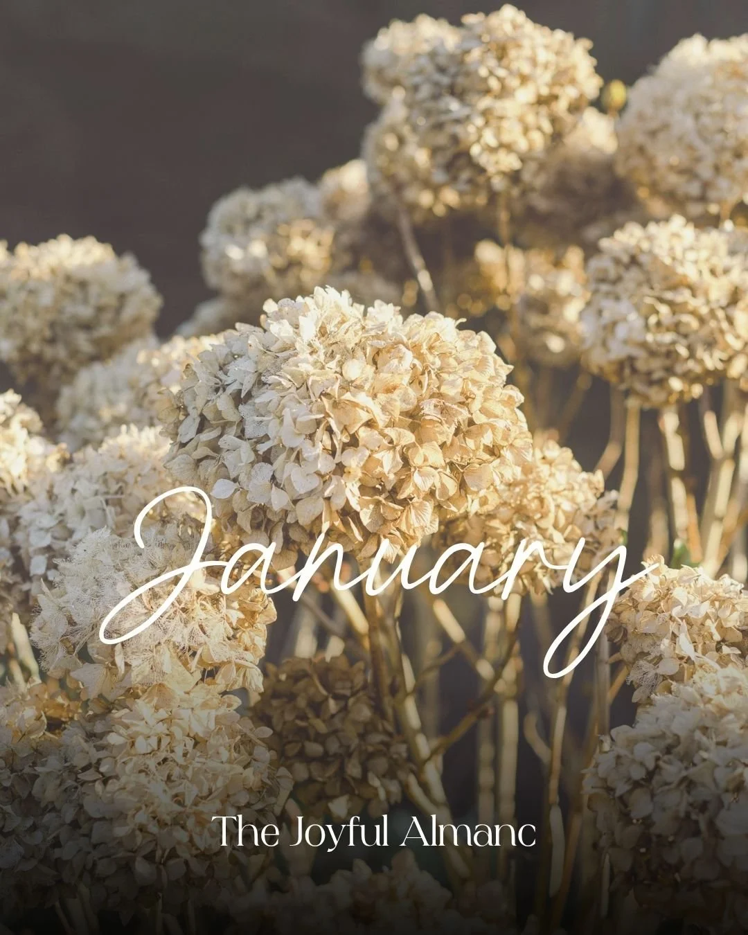 The Joyful Almanac - January