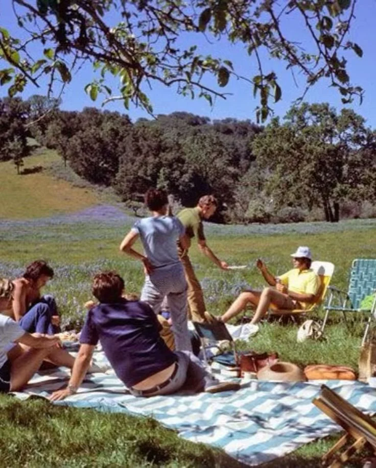 Why You Feel Better After a Picnic (Even When Nothing 'Special' Happens)
