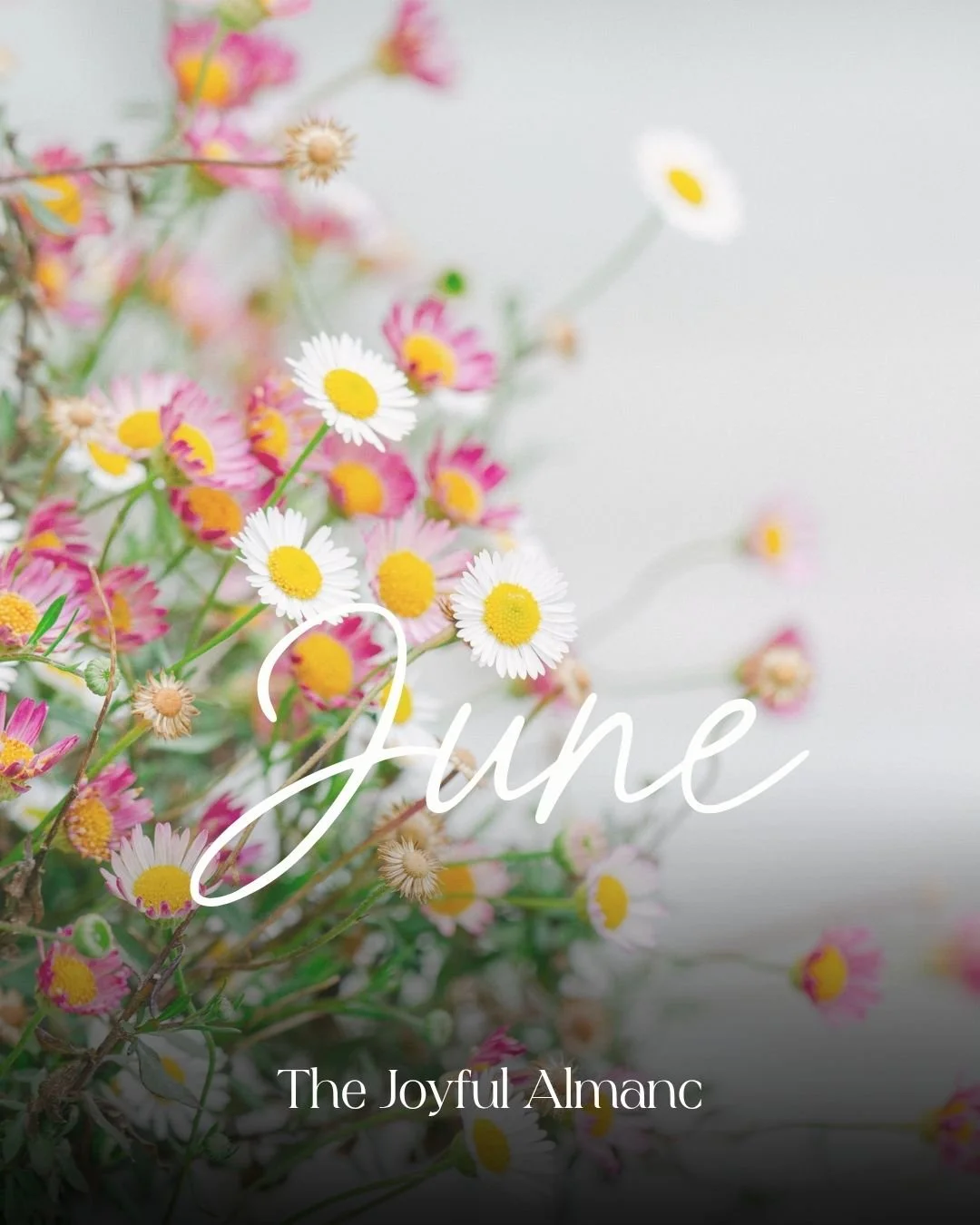 The Joyful Almanac - June