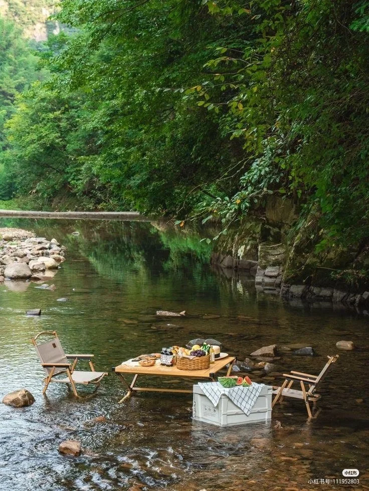 Somewhere between a picnic and a completely reasonable Thursday. 🧺☀️