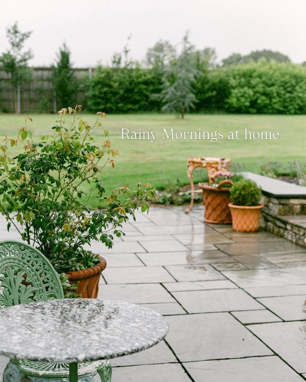 Would I even be British if I didn&rsquo;t mentioned weather?!?! I mean it has been the most glorious wet, grey June morning here in Somerset. 🙄😂 Taking a piece of my own advice and finding the joy in every day. 🥰 

#tinyjoys #somersetlife #june