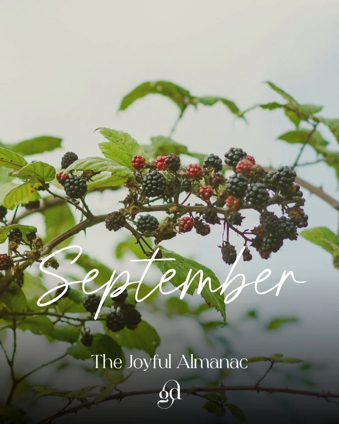 The Joyful Almanac - September