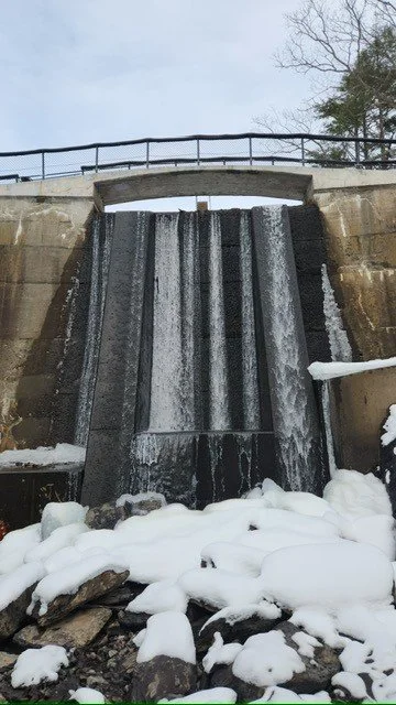 2025: A Year in Review