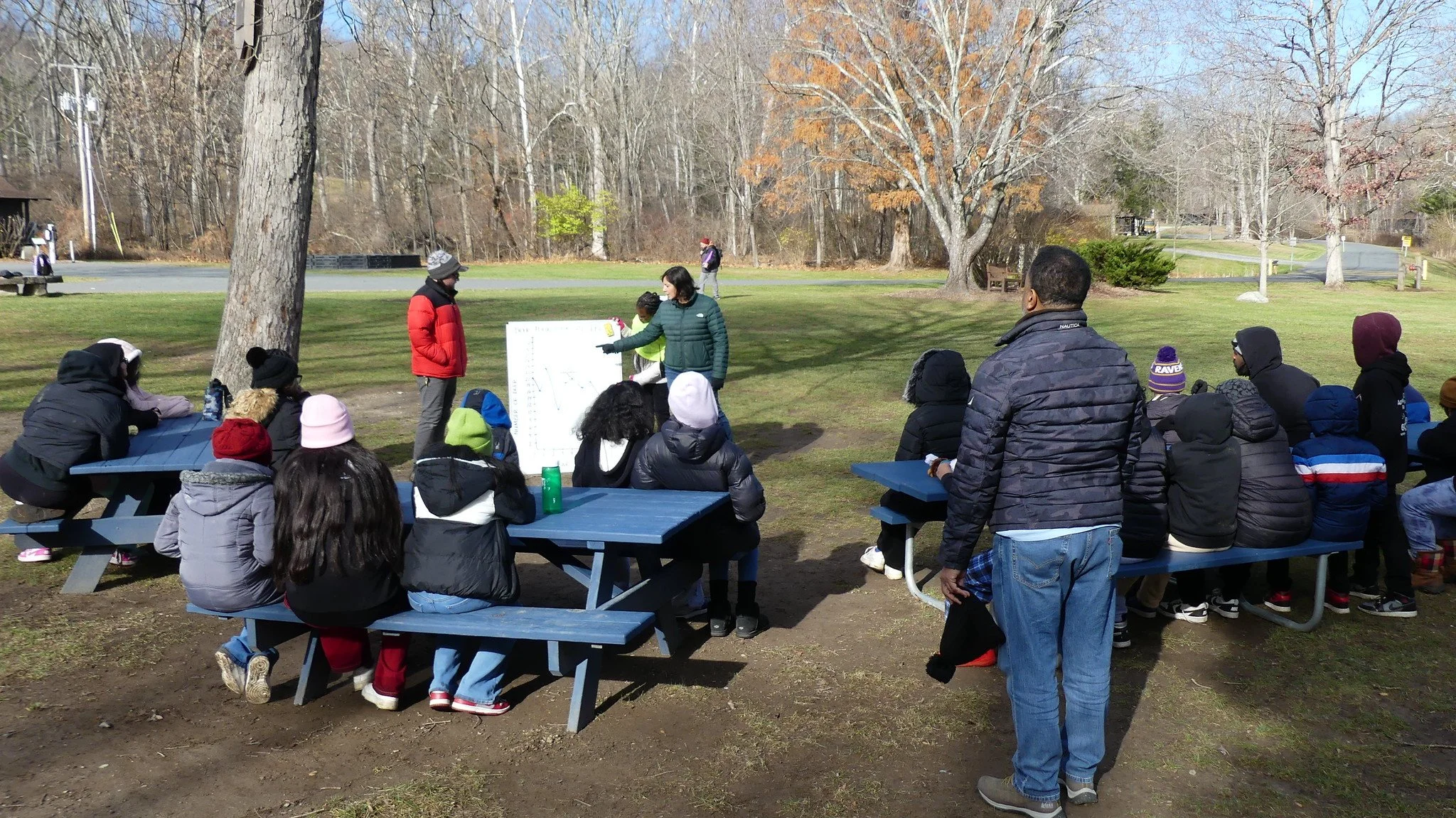 Nature as a Classroom: The Benefits of Outdoor STEM Learning