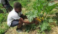 Sustainable Living: Gardens and Soil