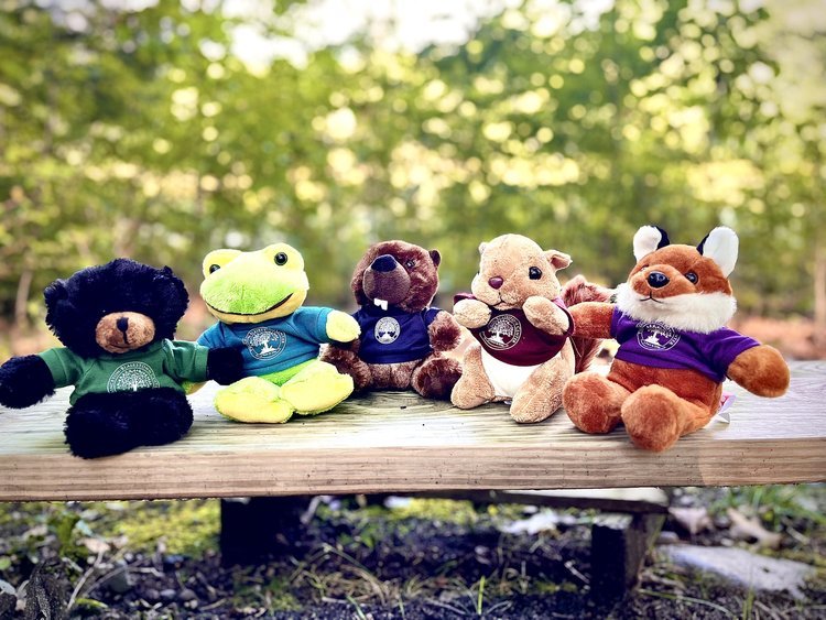 Stuffed Animals and Animal Tees