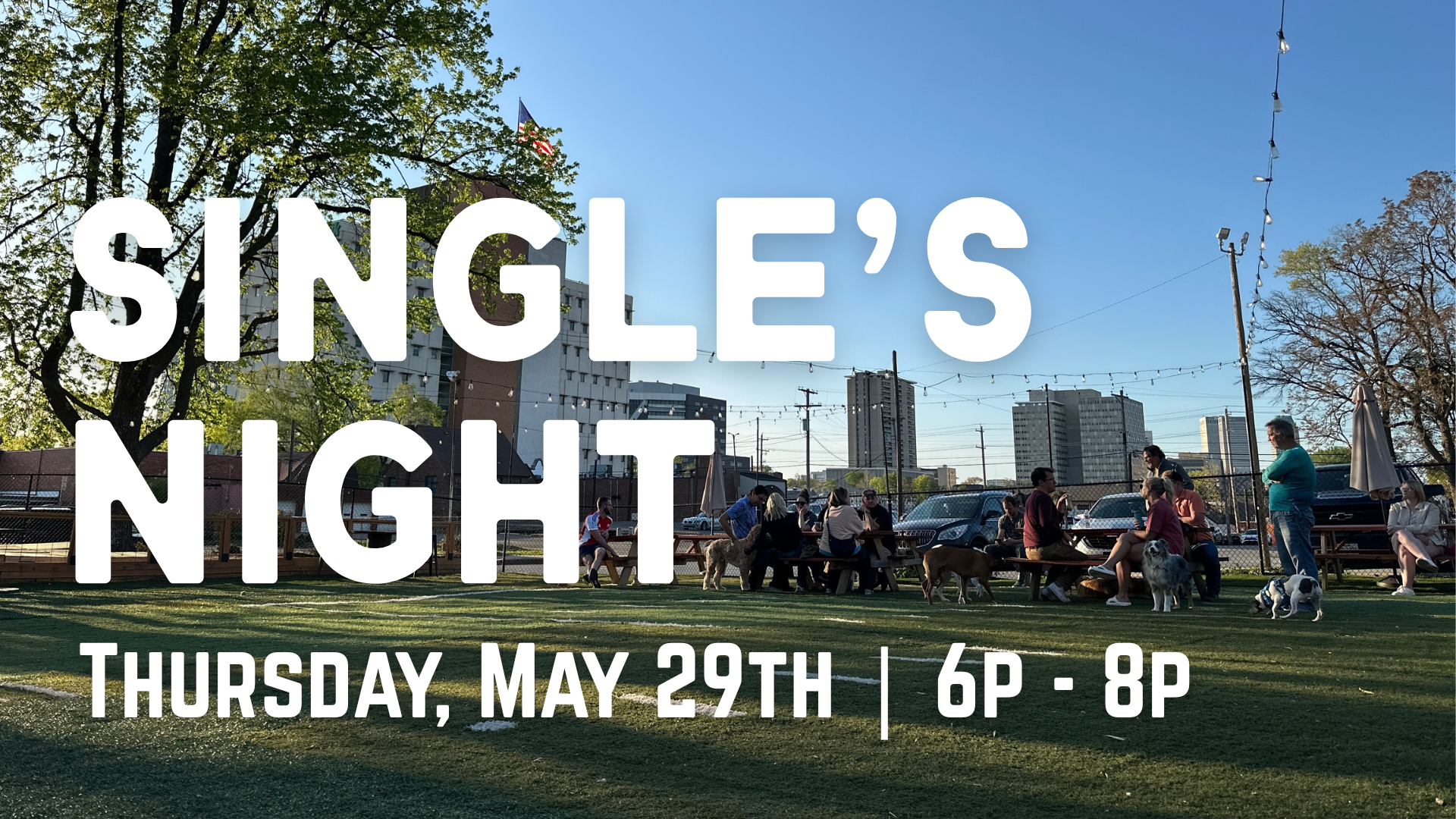 Fetch Your Match | Single's Night