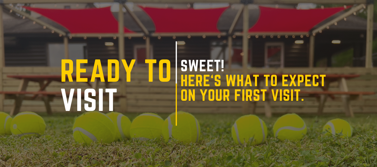 First Visit? Here's what to expect! — TAILS & ALES