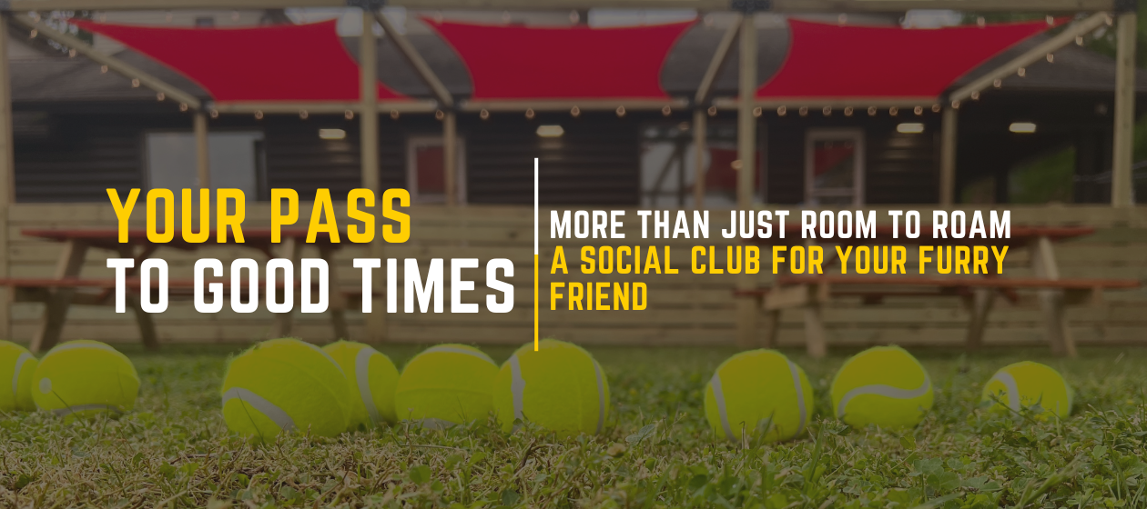 Become A Member — TAILS & ALES