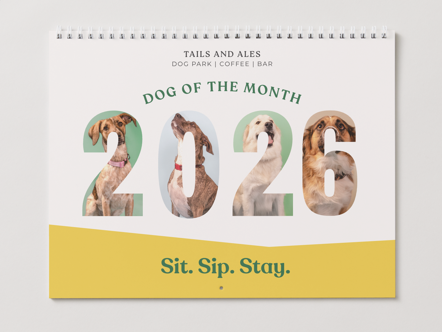 Dog of The Month Calendar