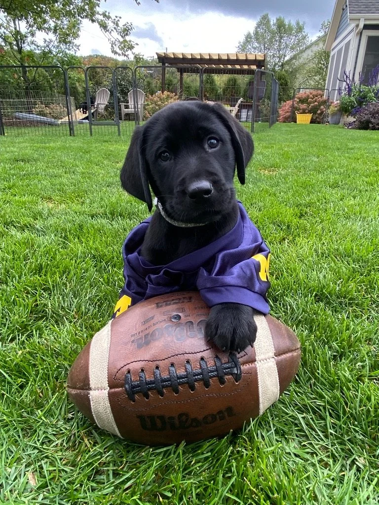 Football pup.jpg